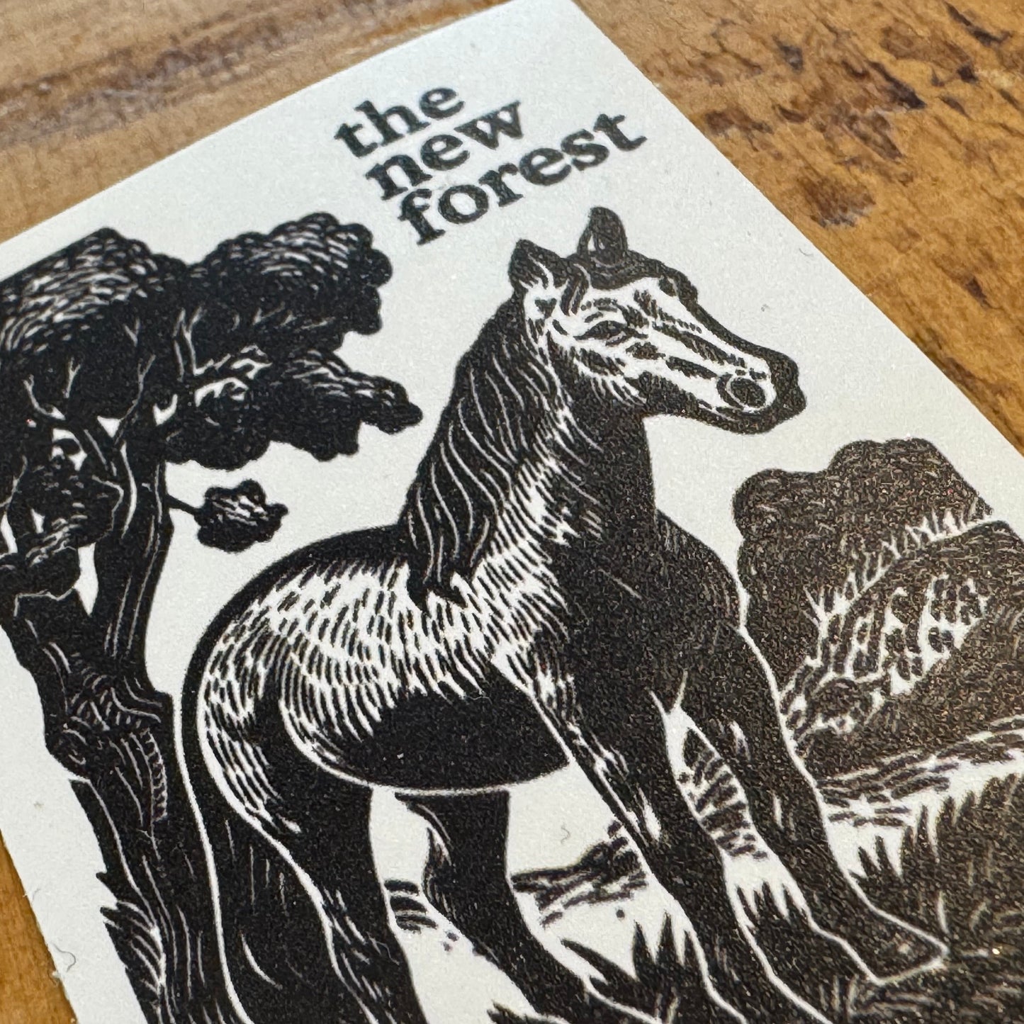 New Forest Pony Block Print Sticker Close Up