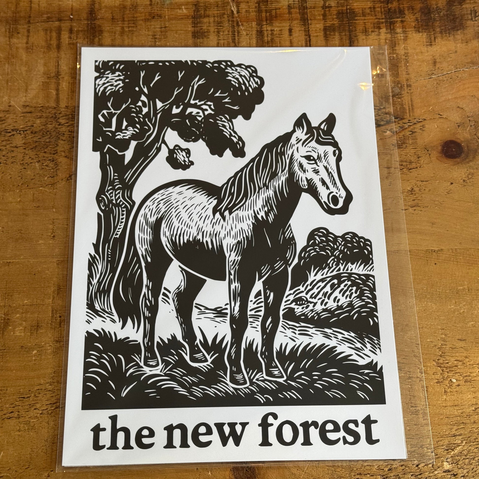 Woodcut-style illustration of a horse with 'the new forest' text on a wooden surface