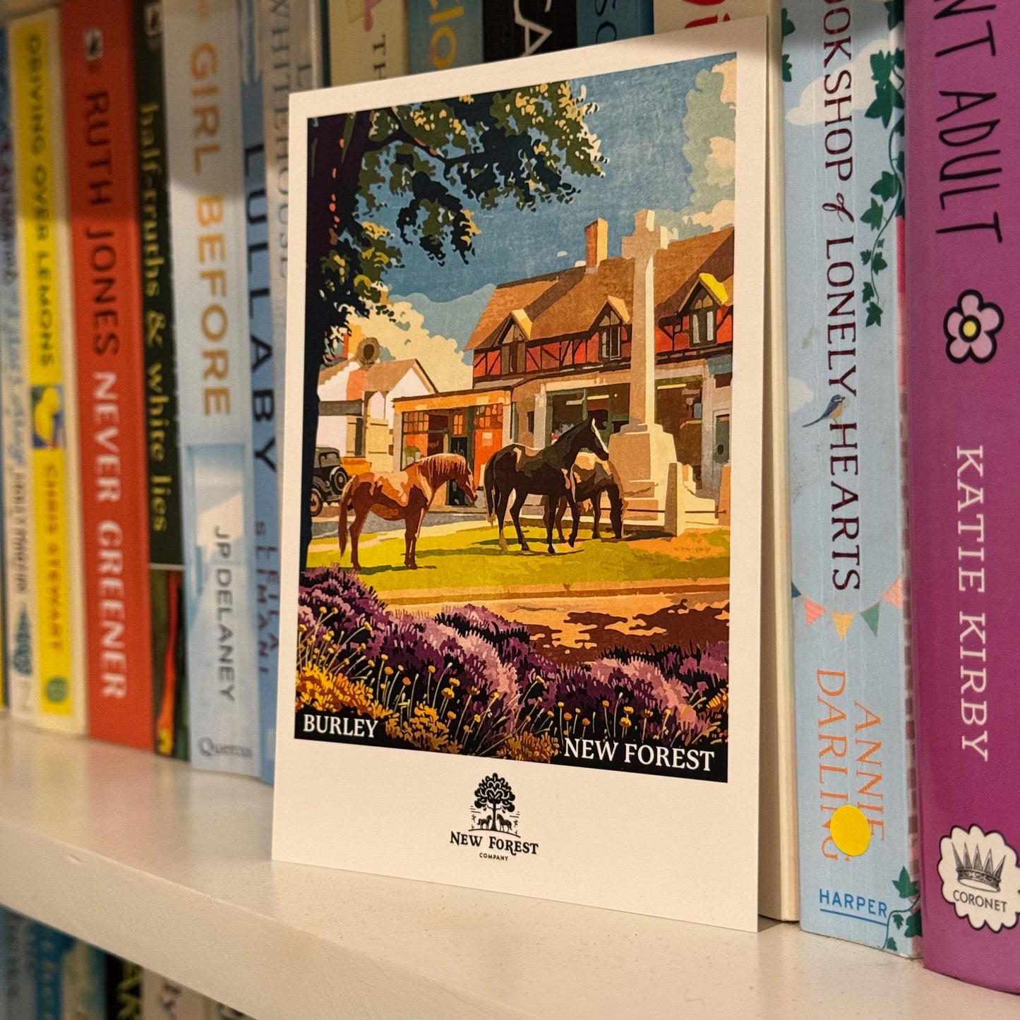 Burley Polaroid Postcard on Shelf