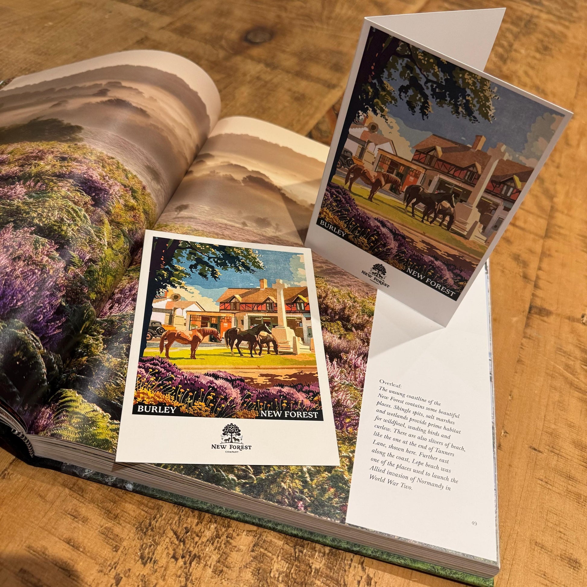 Burley Polaroid Set on Book