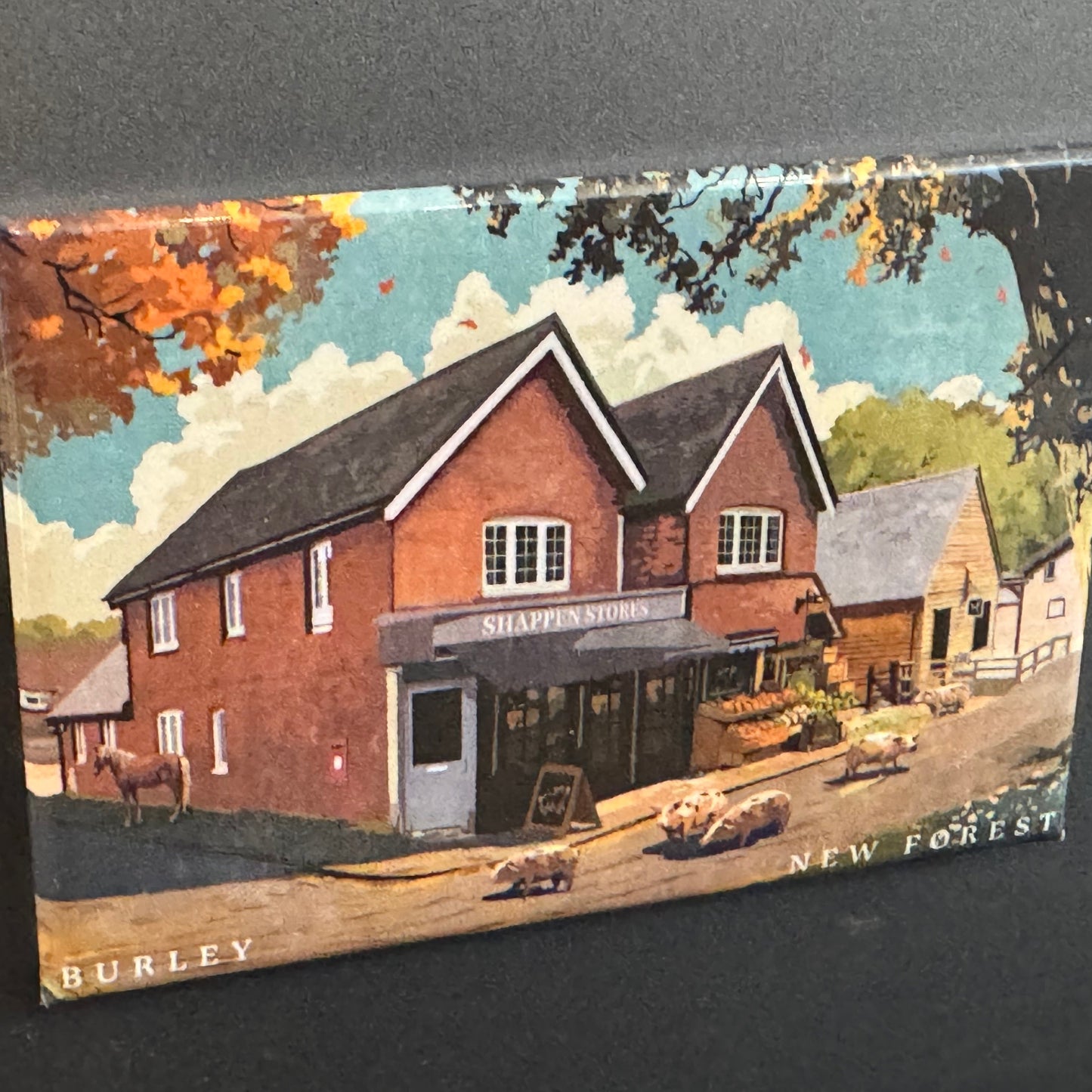 Magnet stuck on frideg