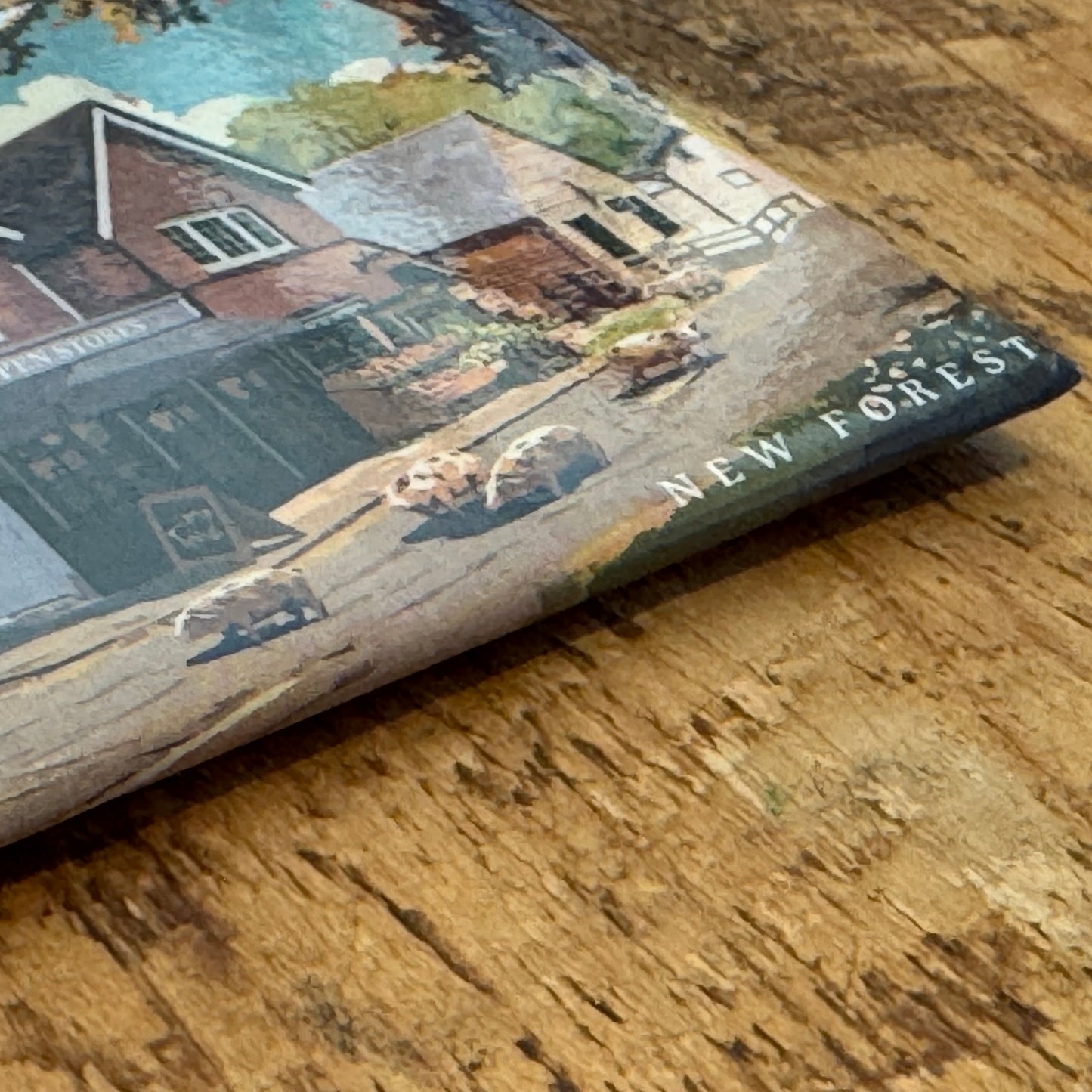 Burley Shappen Stores Magnet Close Up