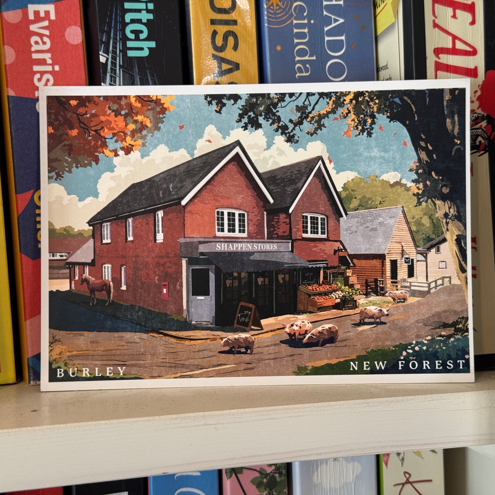 Burley Shappen Stores Postcard on Book Shelf