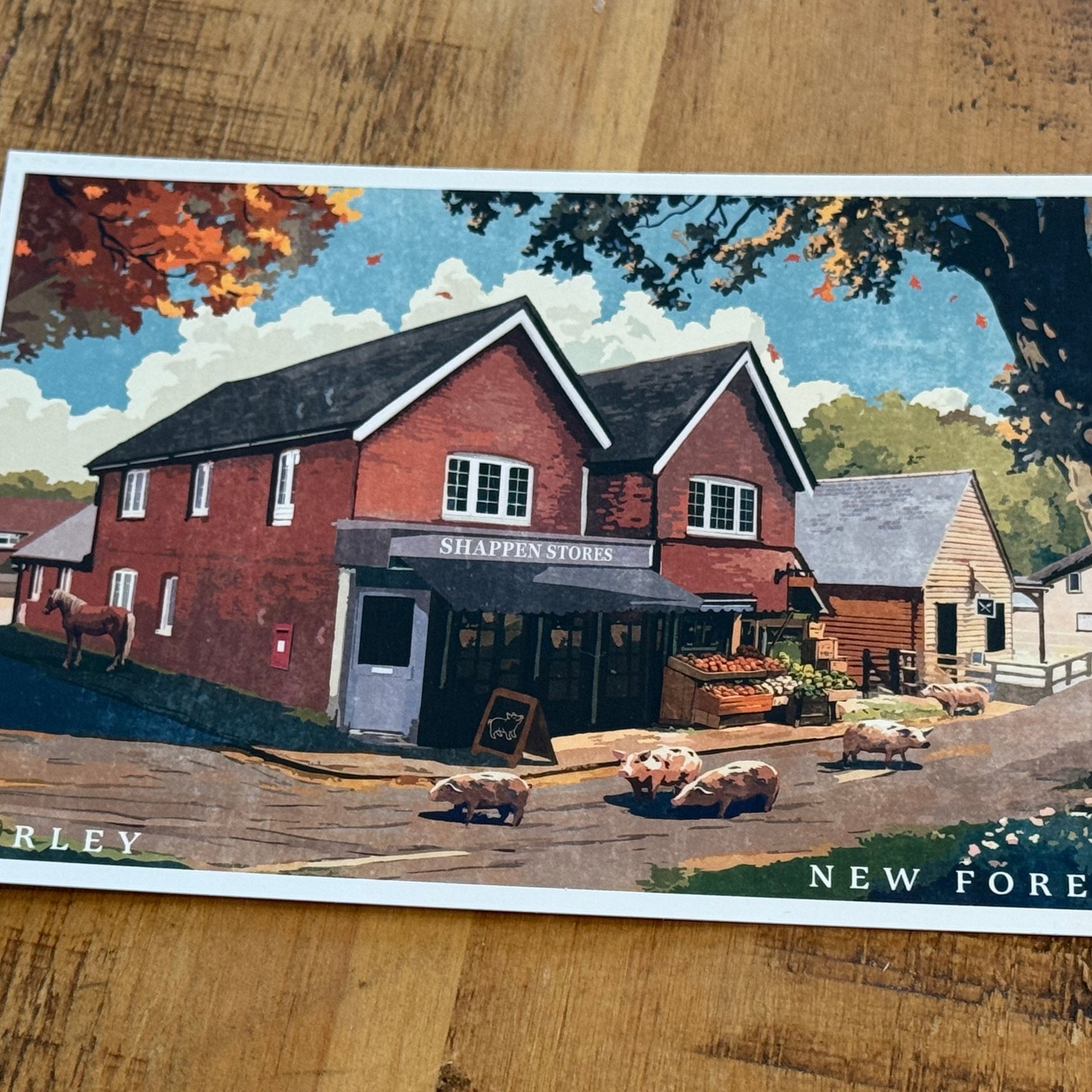 Burley Shappen Stores Postcard on Desk