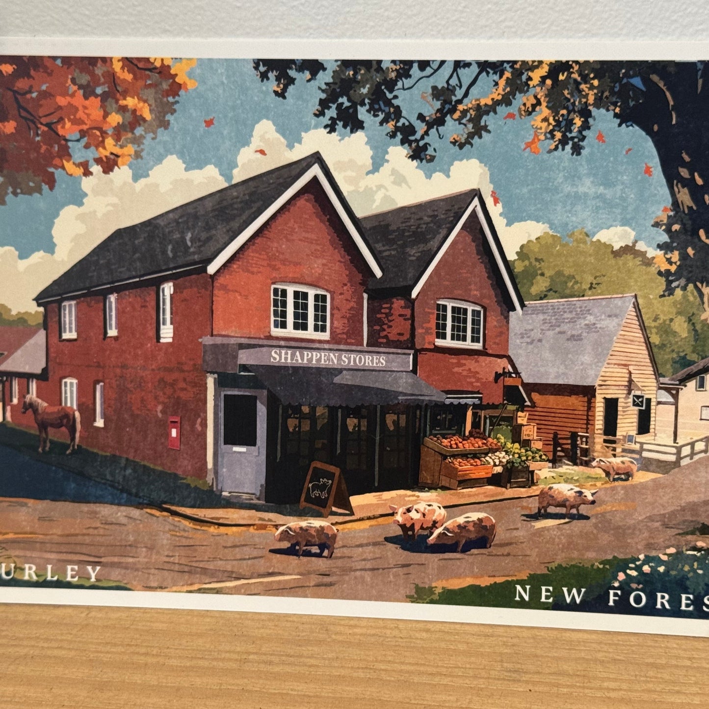 Burley Shappen Stores Postcard on Shelf