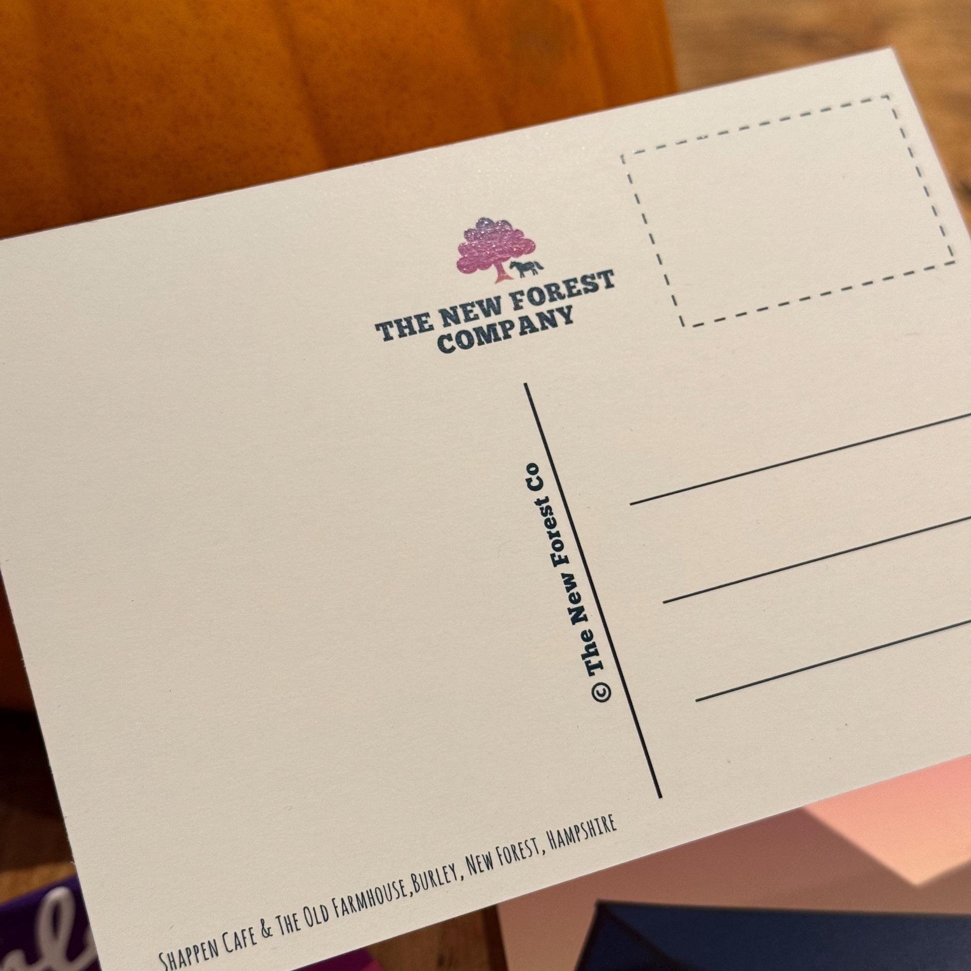 Burley Where Magic Happens Postcard Landscape Back Page