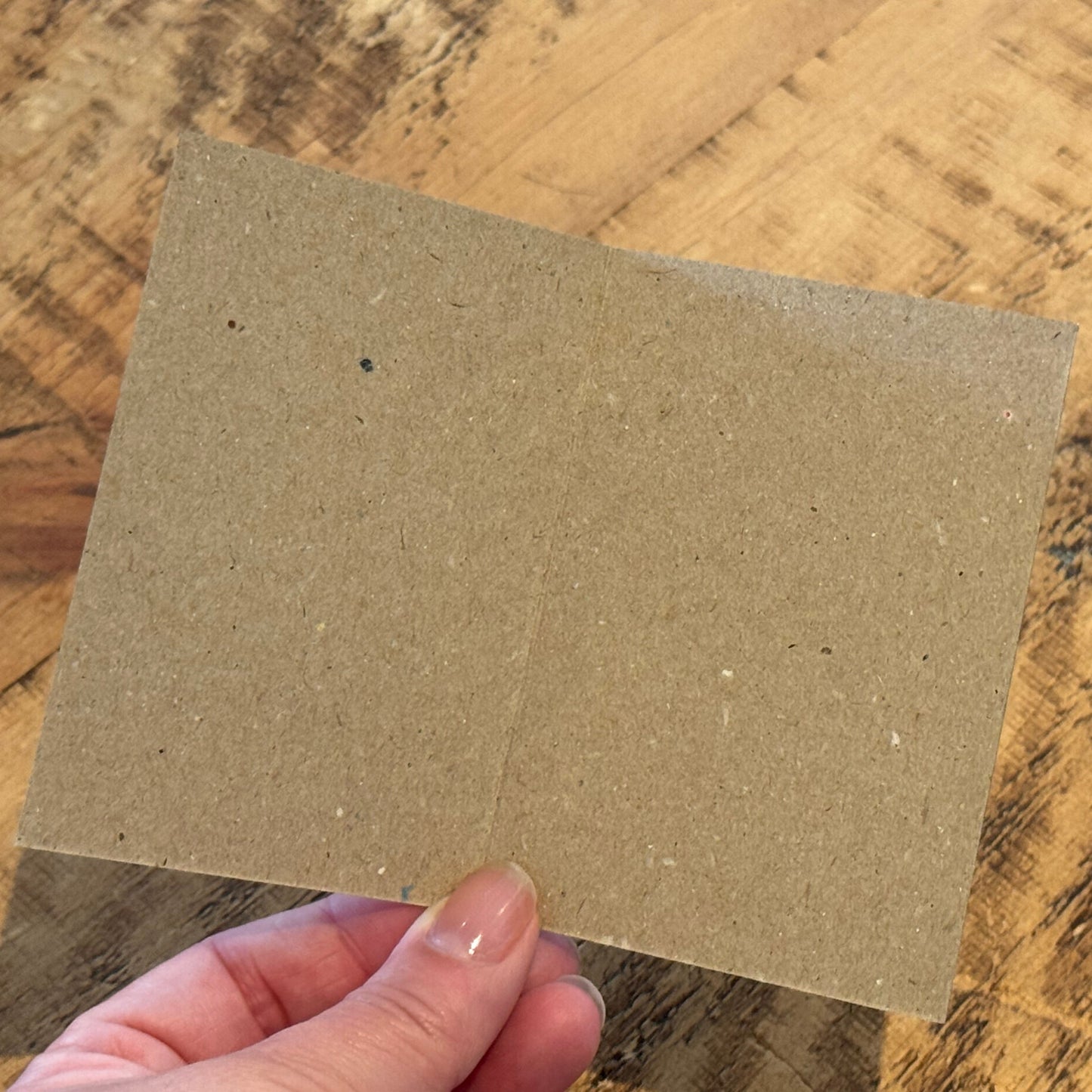 New Forest Pony Block Print Notelet Opened to show blank inside