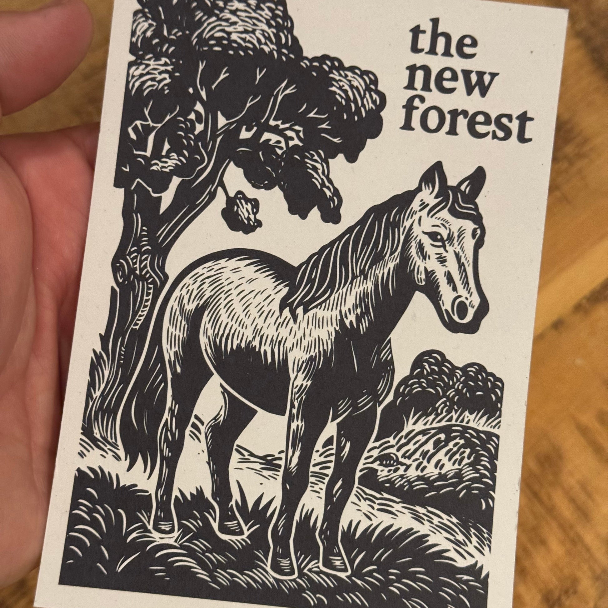 New Forest Pony Block Print Postcard In Hands