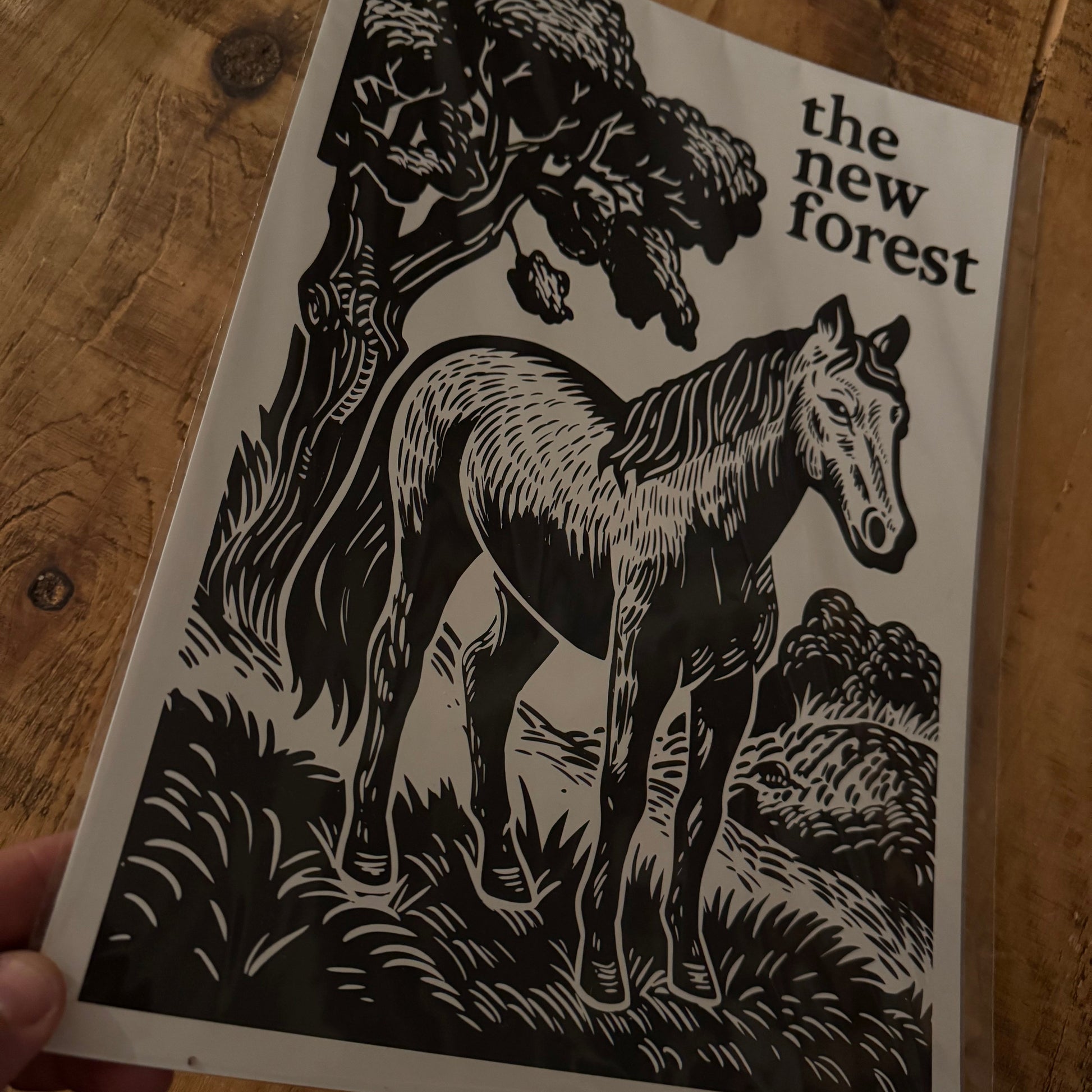 A wrapped New Forest Pony Block Print Poster On a desk